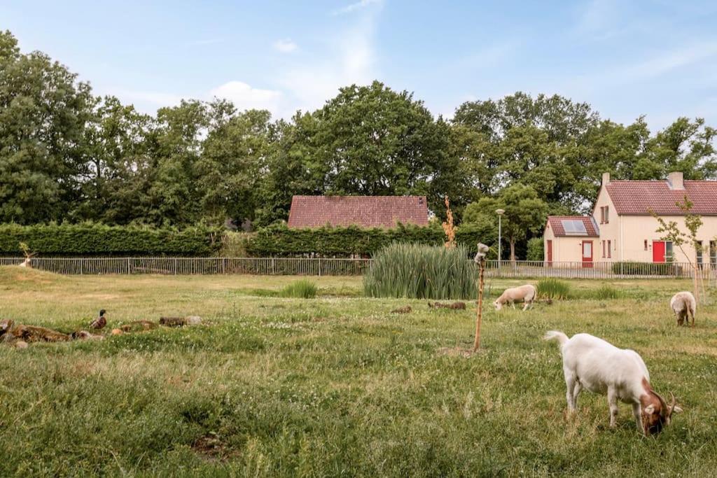 Vakantiehuis Aan Het Water -Incl Laadpaal- Ewijk Dış mekan fotoğraf